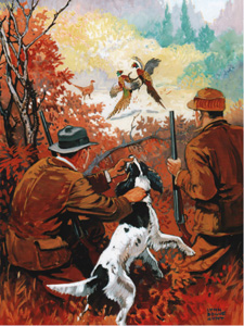 [pheasant hunting]